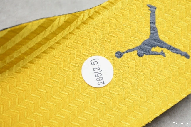 CQ9541-704 Air 5 'Michigan' Jordan 0107